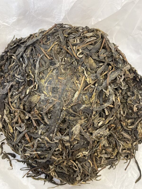 S__67649547_0 2023年 菖蒲塘母樹單株 雲南普洱生茶