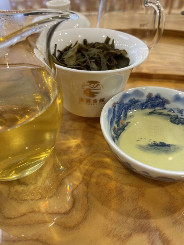 S__67649548_0 2023年 菖蒲塘母樹單株 雲南普洱生茶