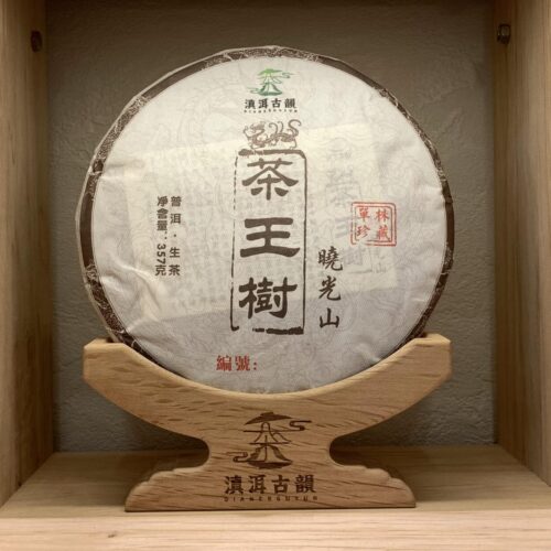 2024年 曉光山茶王樹 雲南普洱生茶