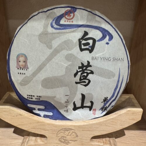 2024年 白鶯山單株 雲南普洱生茶